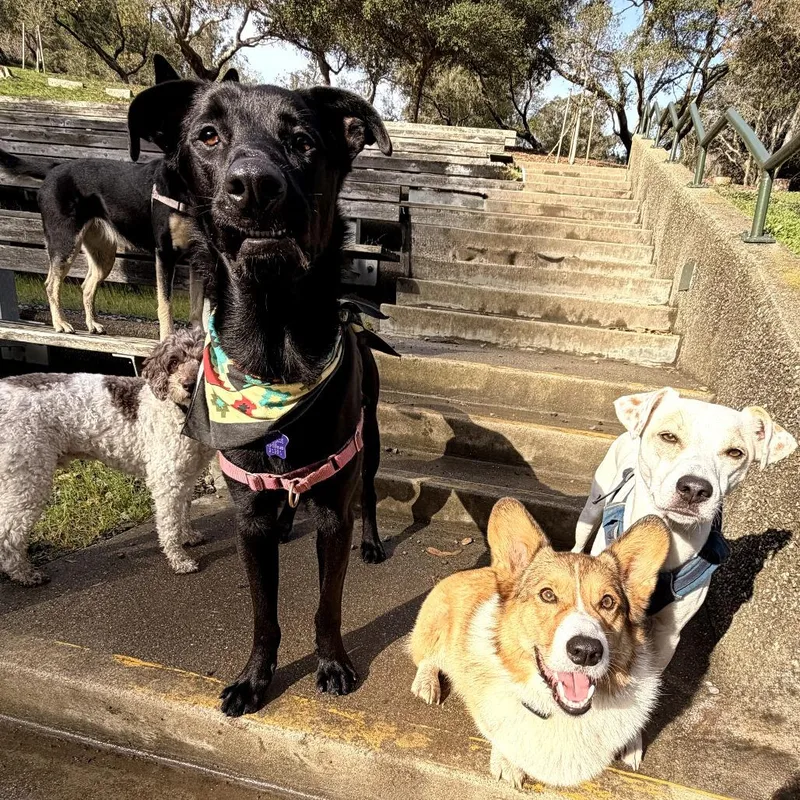 Brighton thumbnail 2