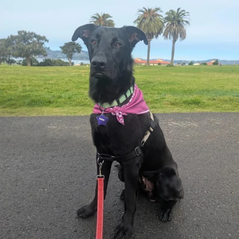 Brighton thumbnail 3