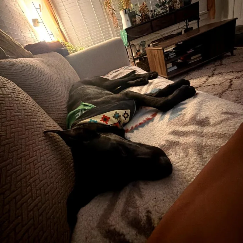 Brighton thumbnail 6