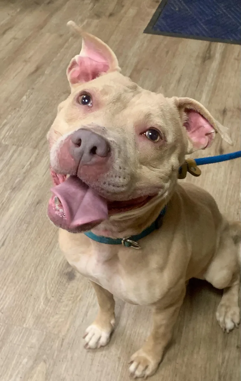 Valentina thumbnail 2