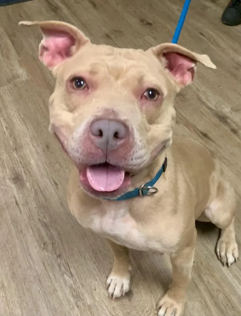 Valentina thumbnail 3