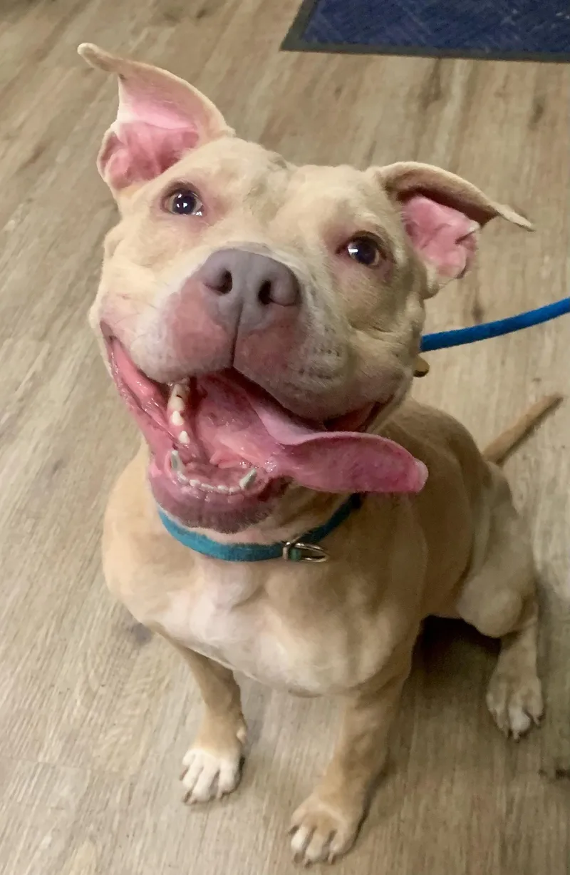 Valentina thumbnail 4