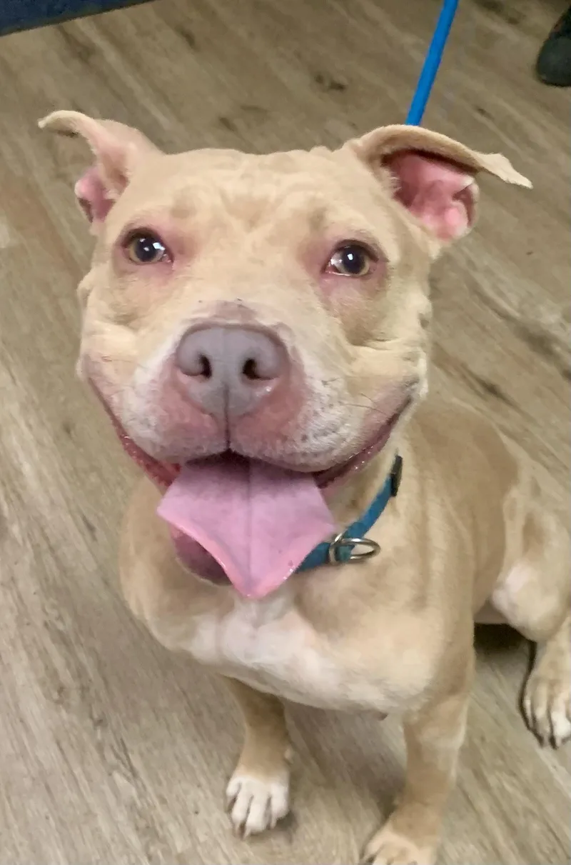 Valentina thumbnail 5