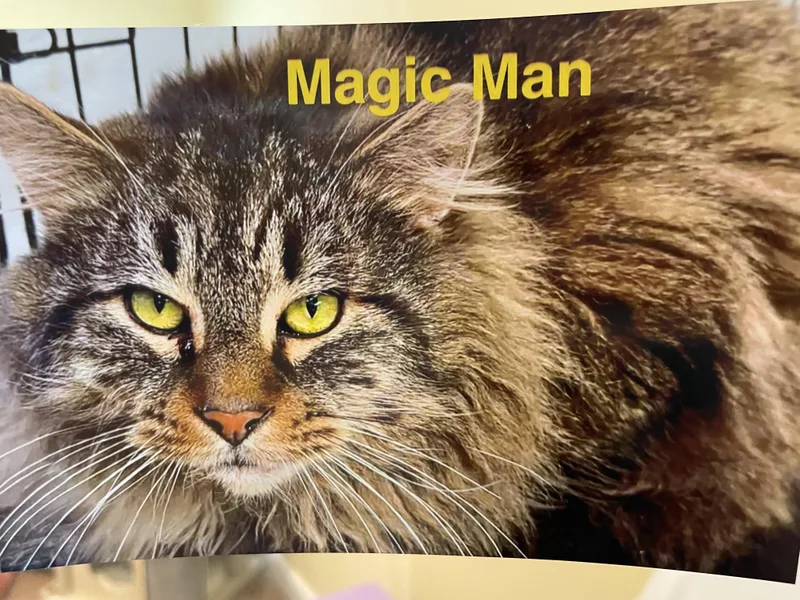 Magic Man & Presto thumbnail 6