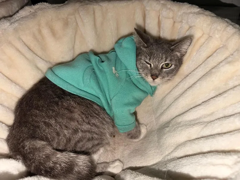 Princess thumbnail 3