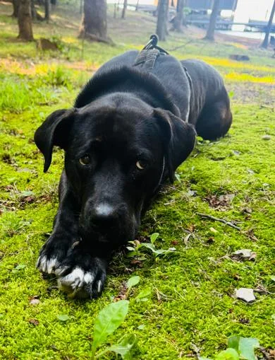 Beautiful Betty thumbnail 2