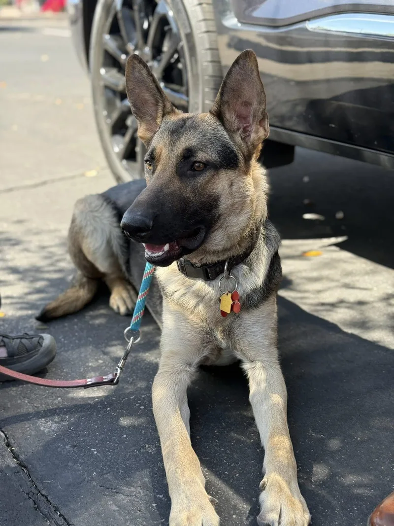 George Strait thumbnail 2