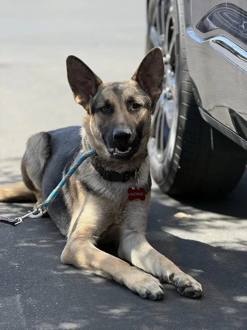 George Strait thumbnail 3