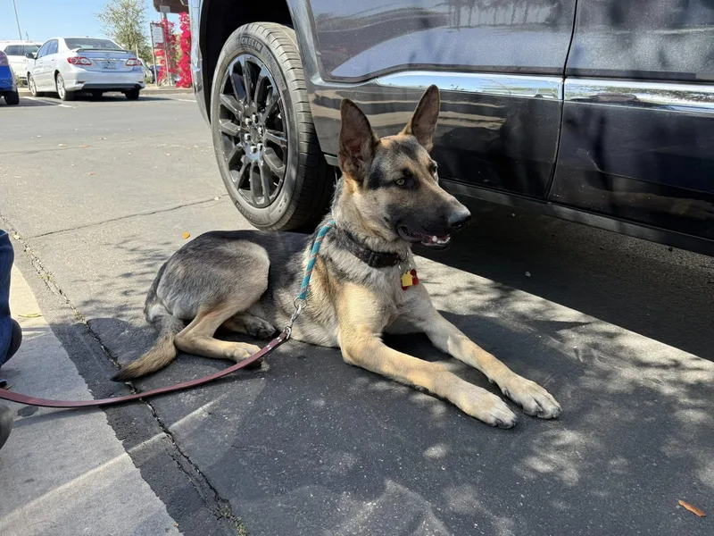 George Strait thumbnail 4