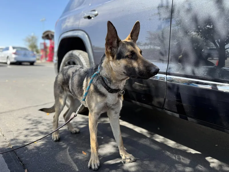 George Strait thumbnail 6