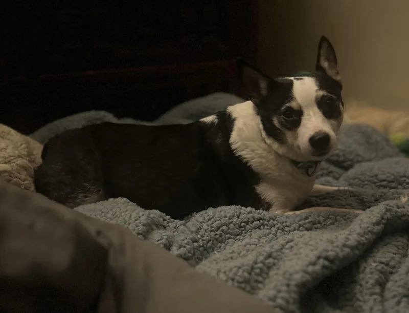 Layla Ann thumbnail 2