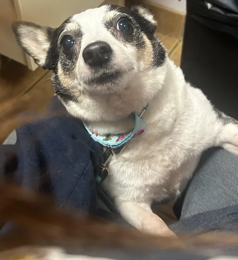 Layla Ann thumbnail 3