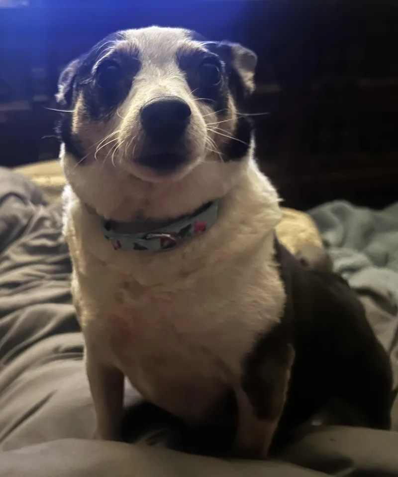 Layla Ann thumbnail 4