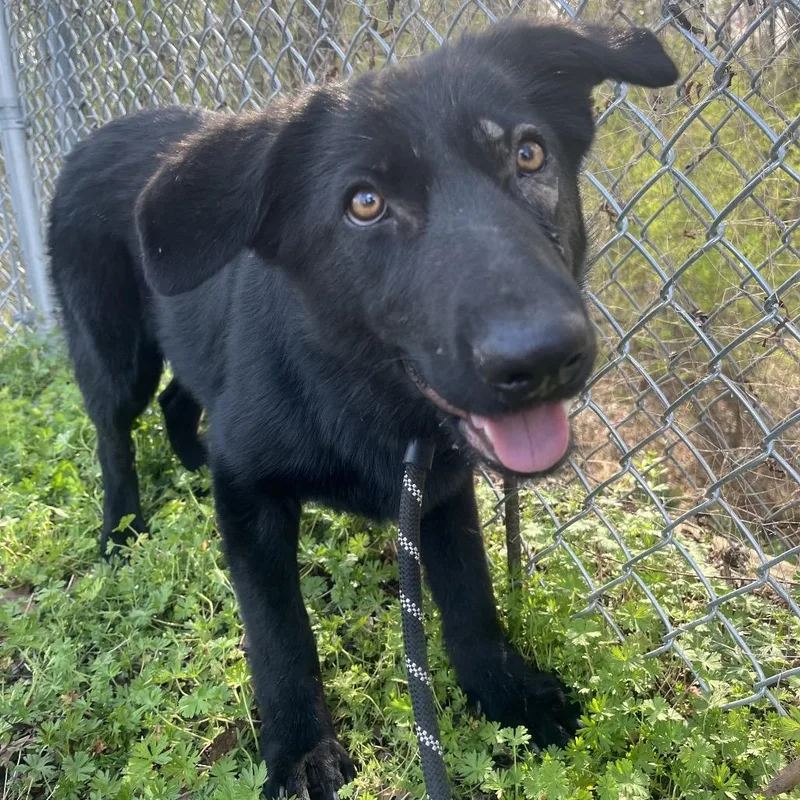 Carebear thumbnail 2