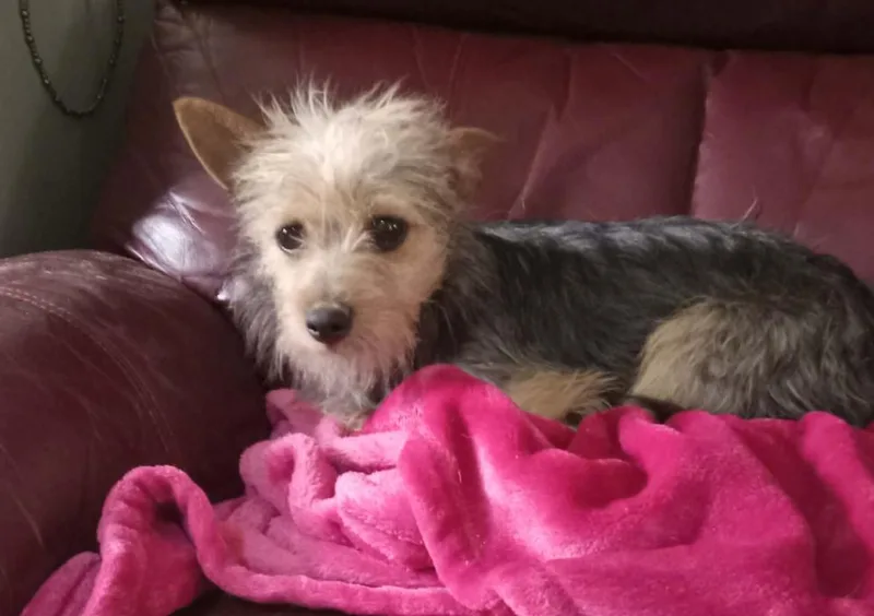 Millie In Tx thumbnail 2