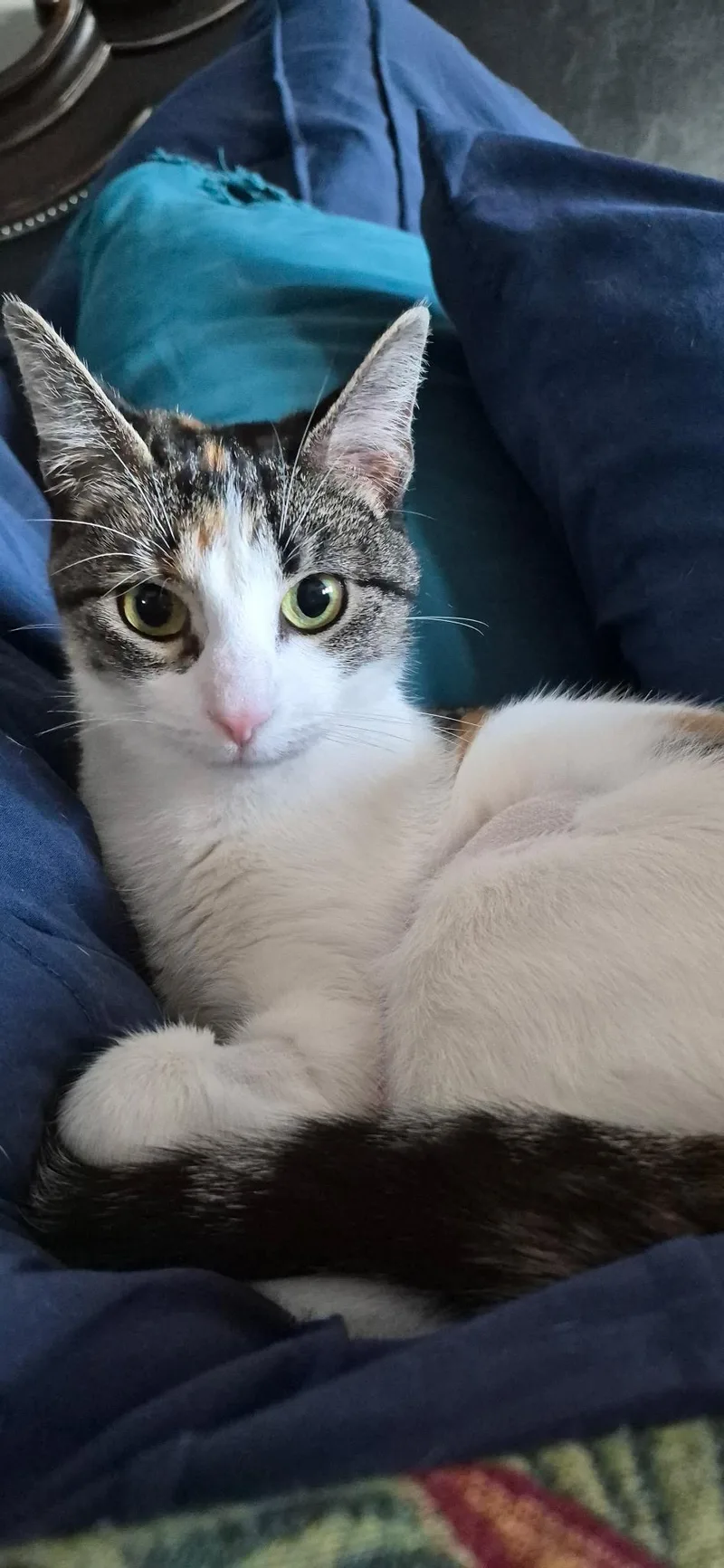 Muñeca thumbnail 2