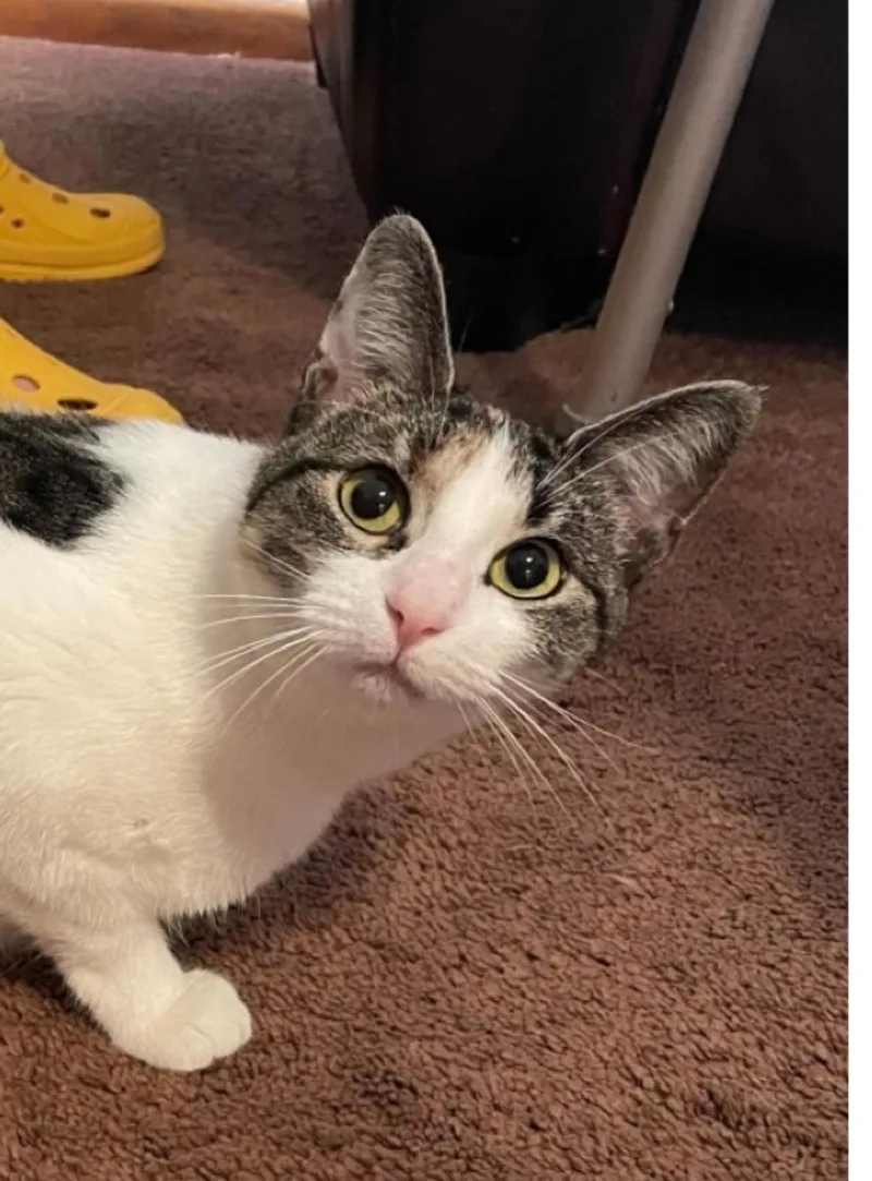 Muñeca thumbnail 3