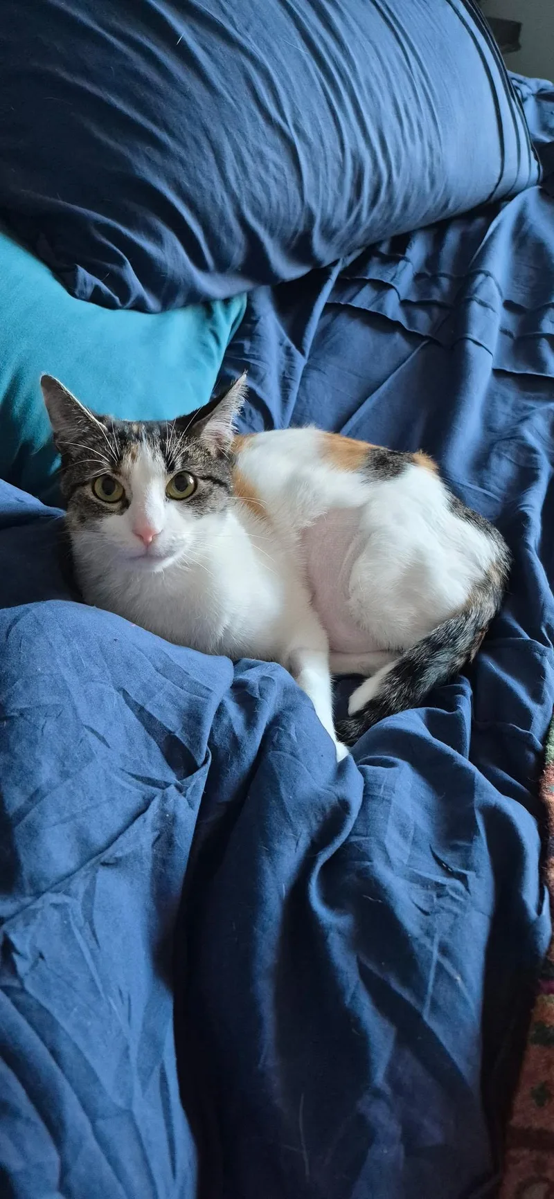 Muñeca thumbnail 4