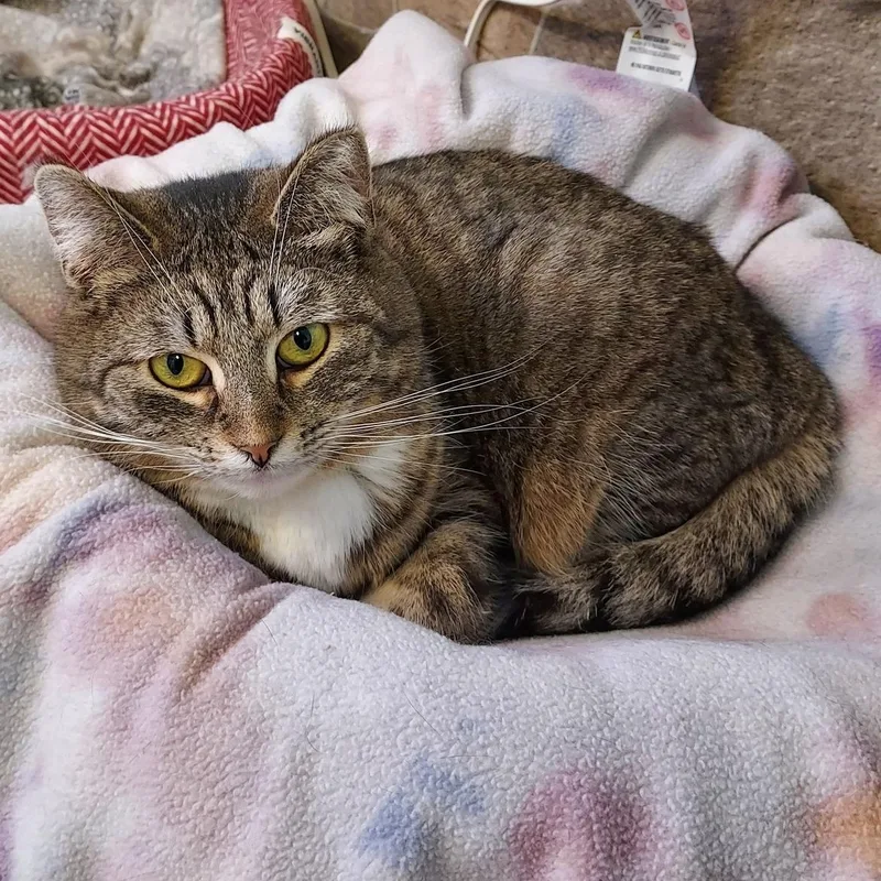 Treasure thumbnail 2