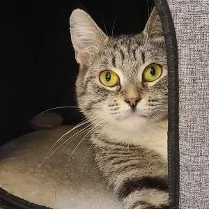 Treasure thumbnail 3