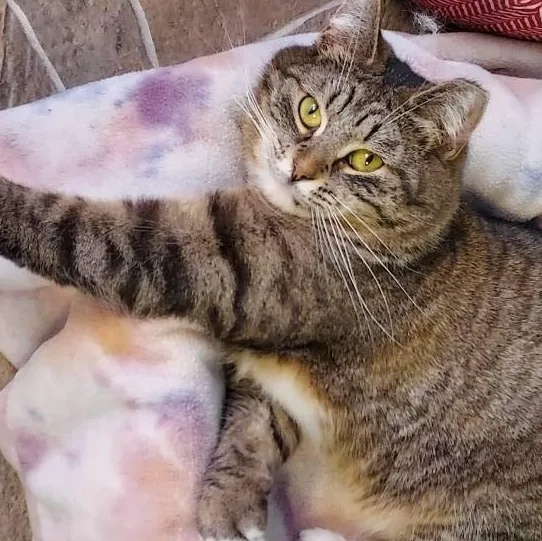 Treasure thumbnail 4