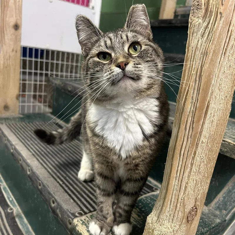 Treasure thumbnail 5