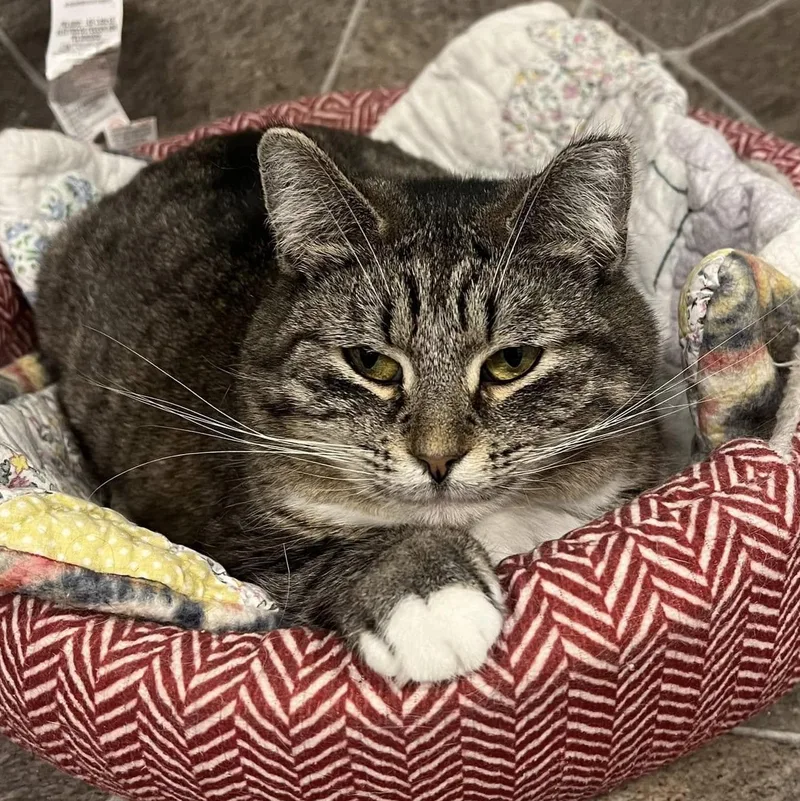 Treasure thumbnail 6