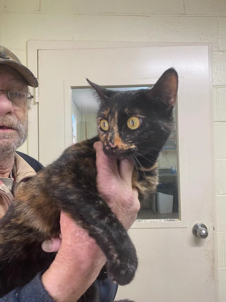 Cleopatra thumbnail 2