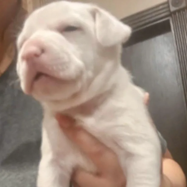 Tennessee thumbnail 2