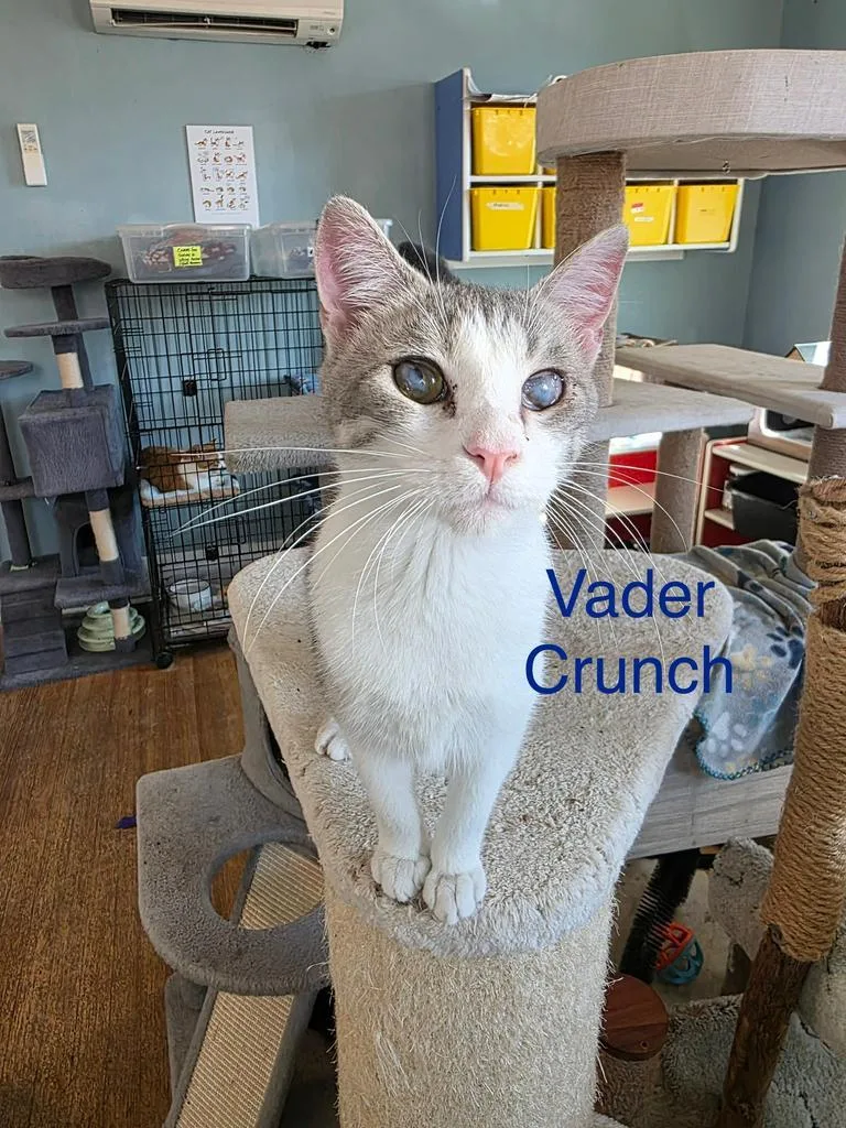 Vader Crunch