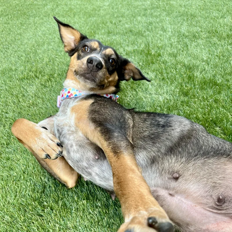 Lupita — Her Soulful thumbnail 2