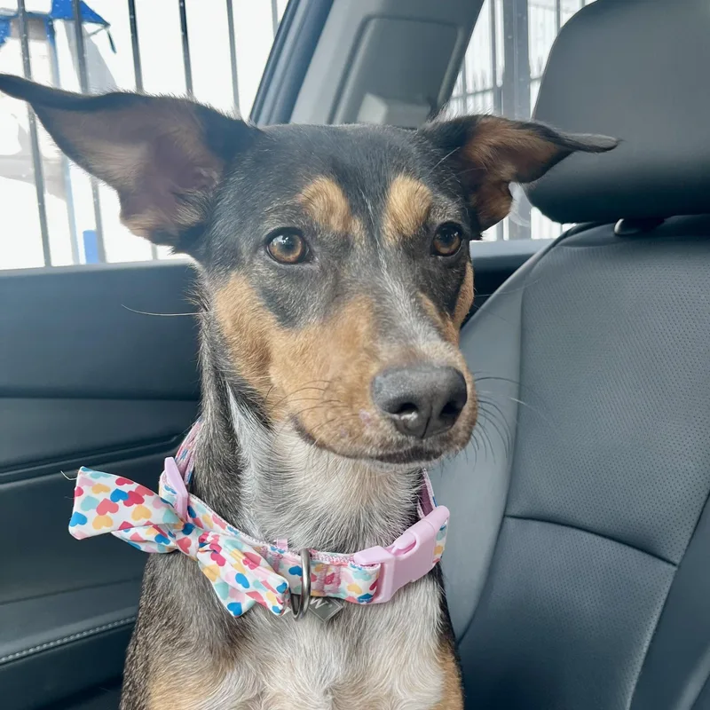 Lupita — Her Soulful thumbnail 3