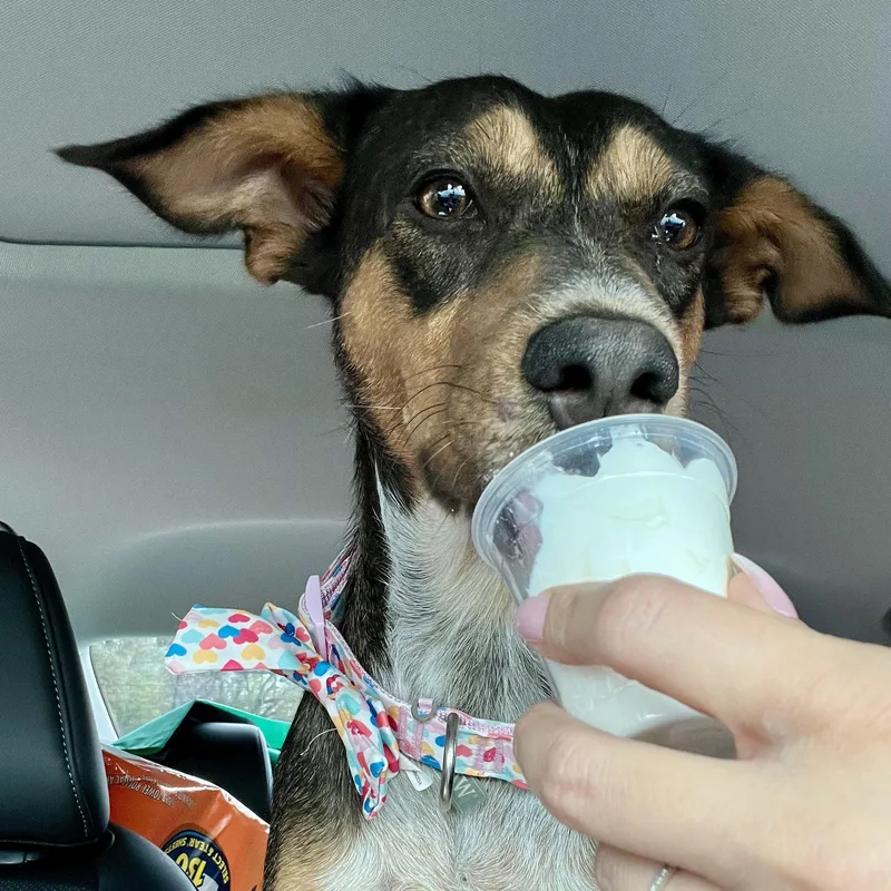 Lupita — Her Soulful thumbnail 4