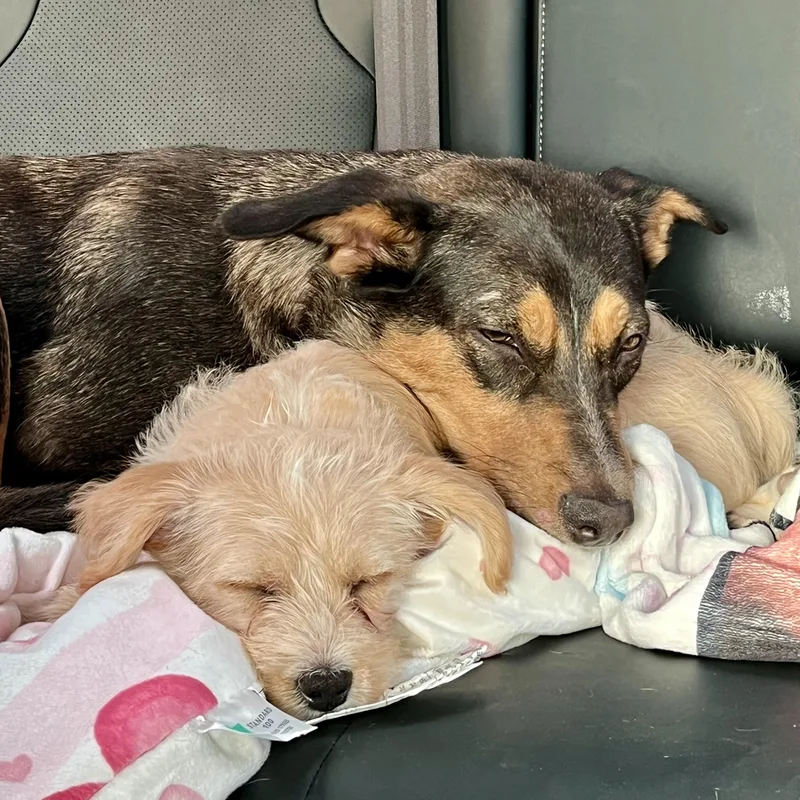 Lupita — Her Soulful thumbnail 5