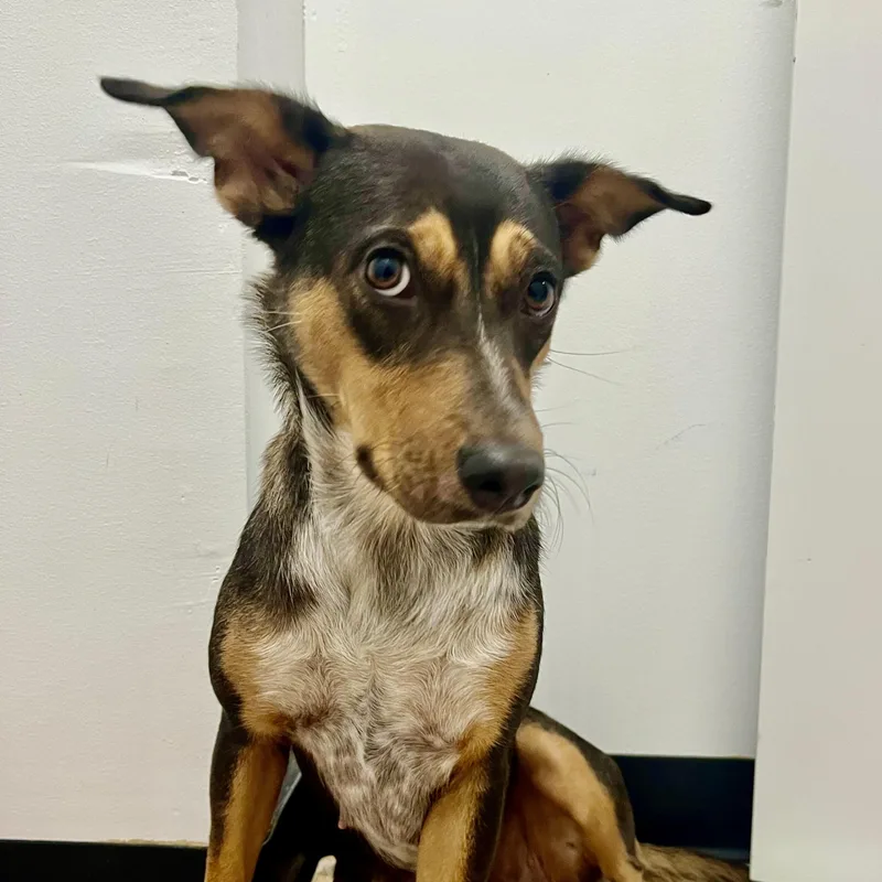 Lupita — Her Soulful