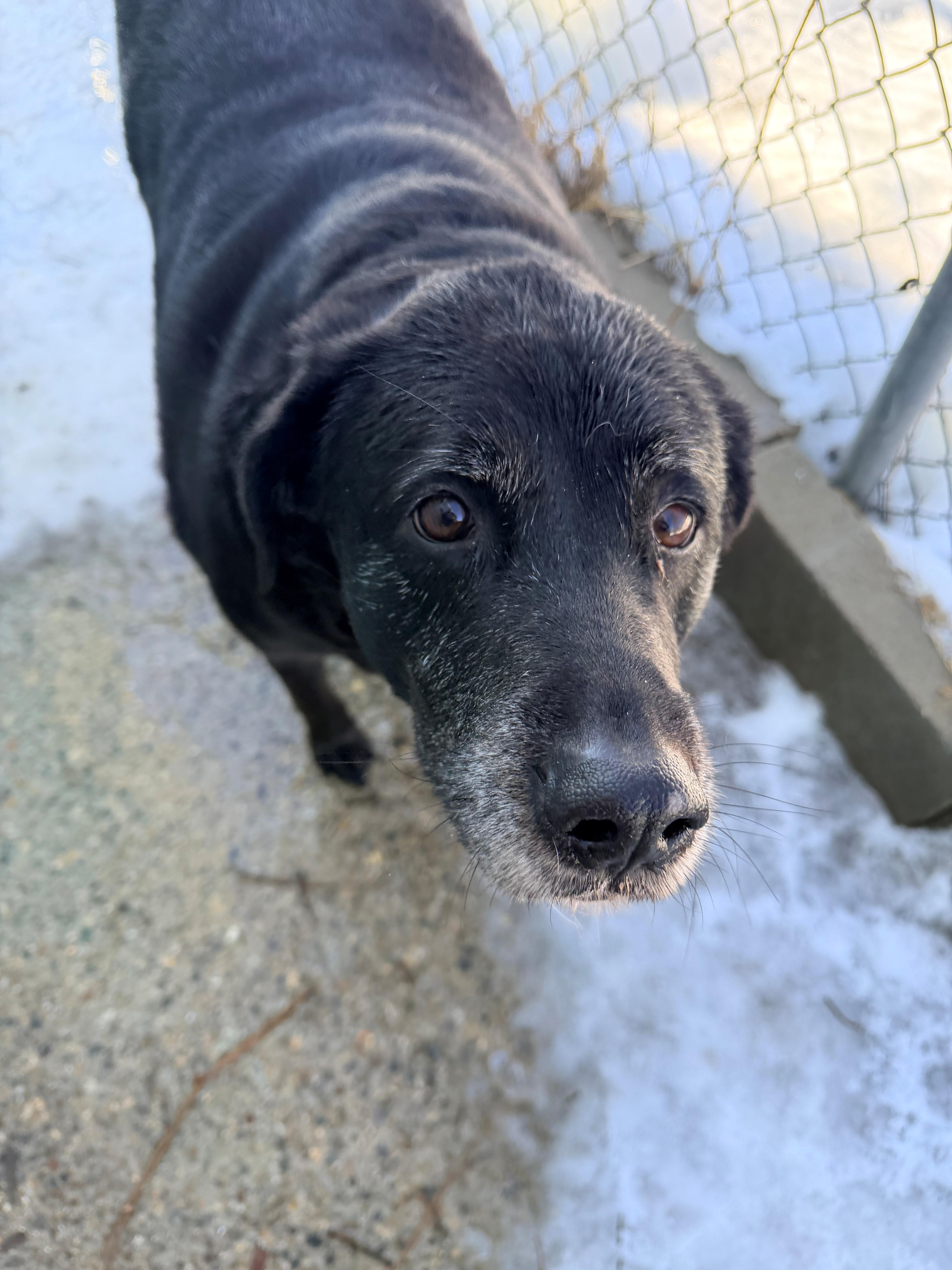 Big Bella thumbnail 3