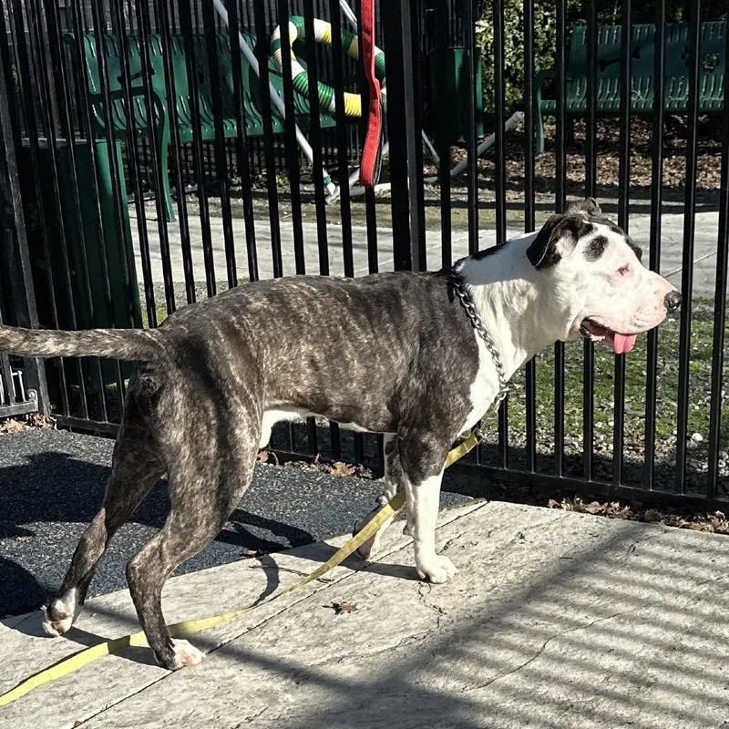 Sosa  Ecas thumbnail 3