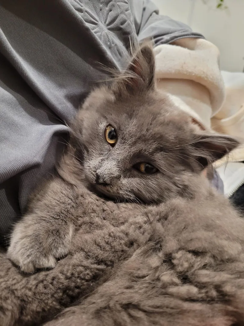 Puffer Jacket thumbnail 3