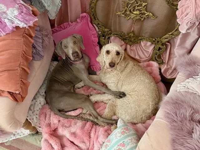 Hazel Doodle thumbnail 4