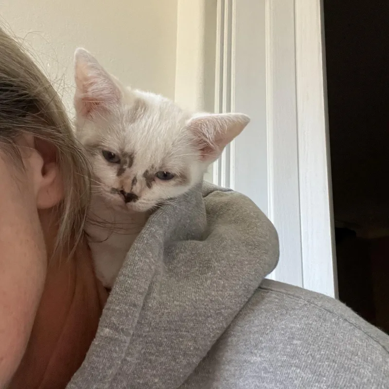 Snow White thumbnail 4