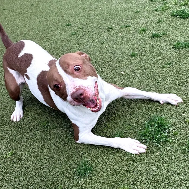 Madeline thumbnail 2