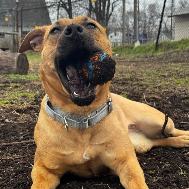 Reba Fka Donna thumbnail 3