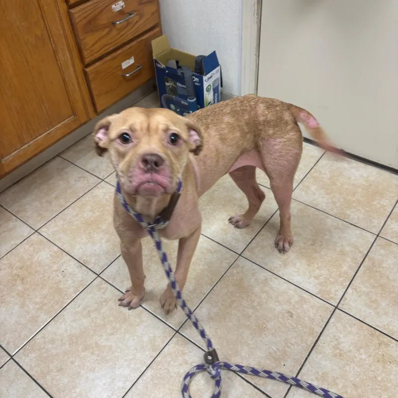 Niecy Nash thumbnail 2