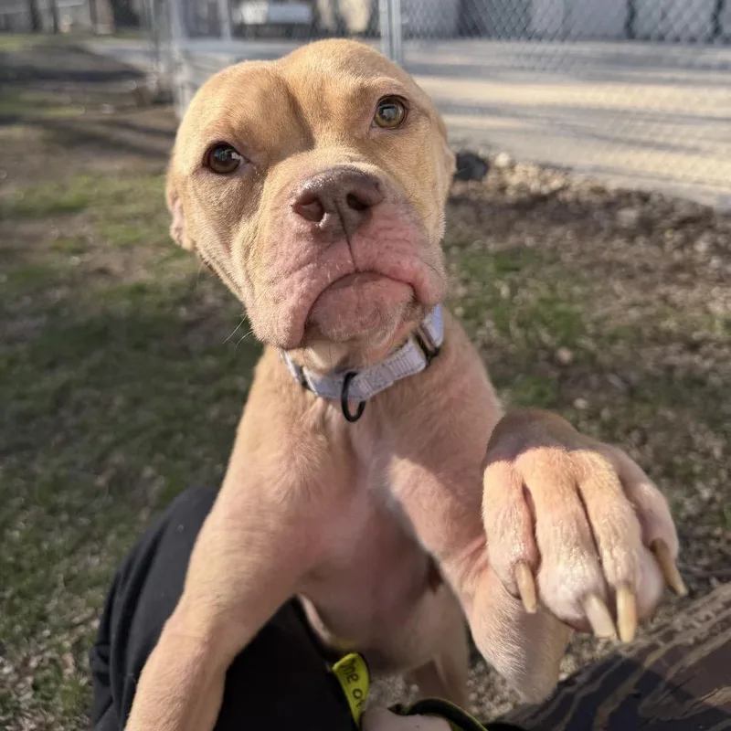 Niecy Nash thumbnail 3