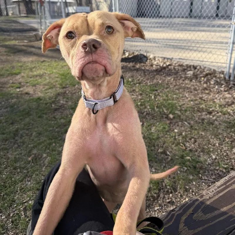 Niecy Nash thumbnail 5