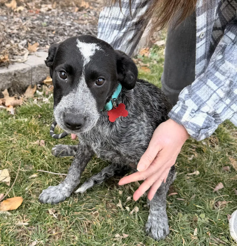 Freckles thumbnail 3