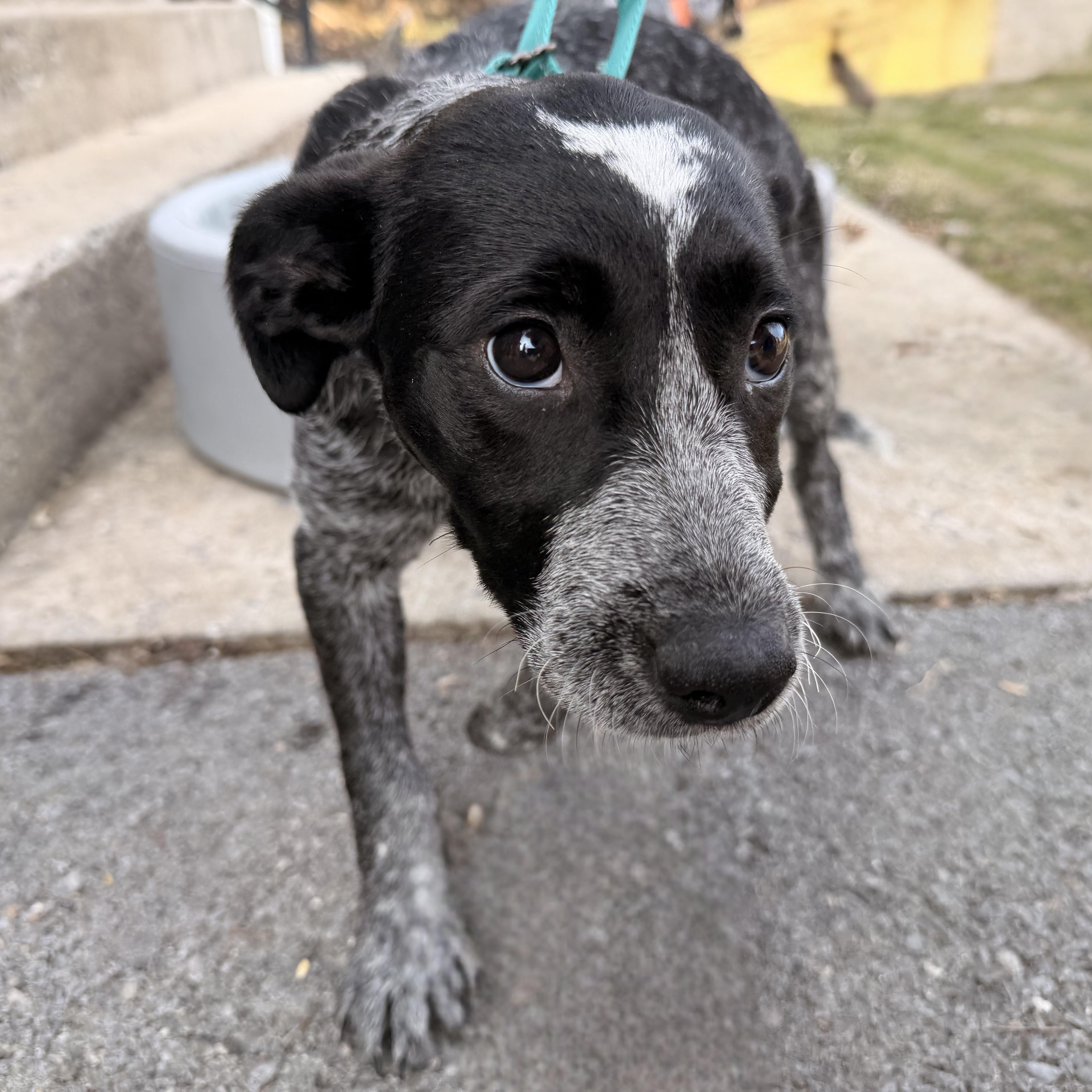 Freckles thumbnail 5