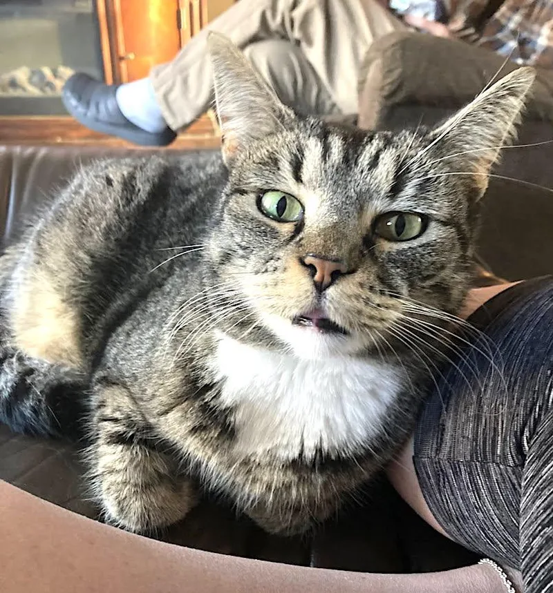 Millie Grace thumbnail 2