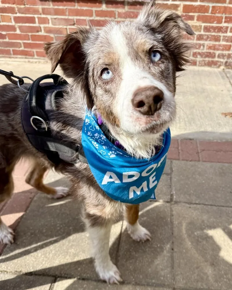 Bella Mae thumbnail 3