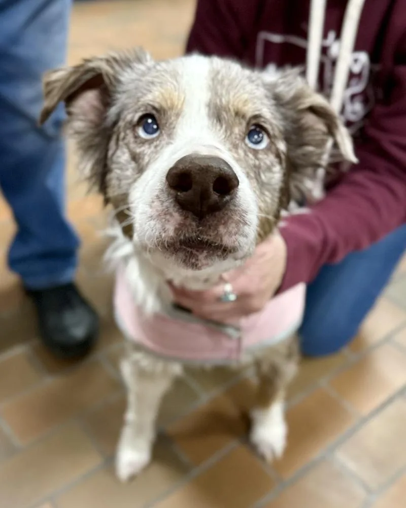 Bella Mae thumbnail 4